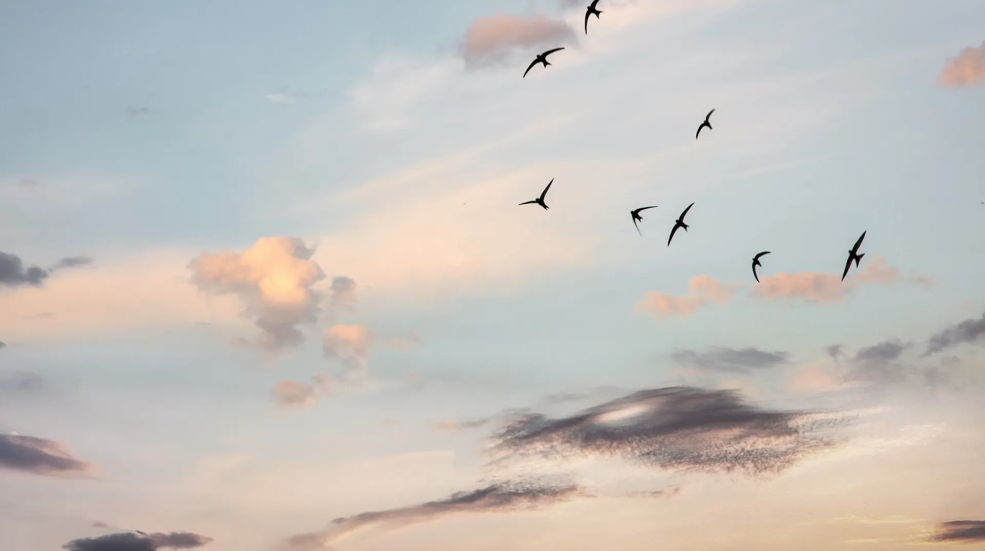 Horizons